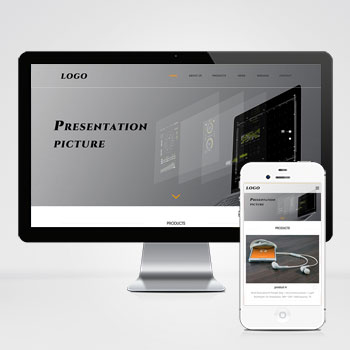 (自適應手機端)英文外貿網站模板 企業通用電子產品外貿網站源碼下載