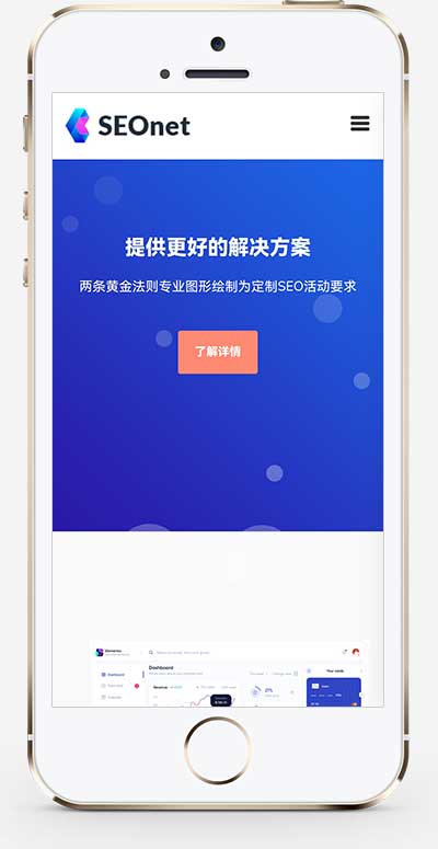 (自適應手機端)SEO優化網絡公司網站模板 (自適應手機端)SEO優化網絡公司網站模板