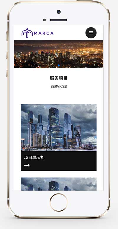 (自適應(yīng)手機(jī)端)商務(wù)服務(wù)類網(wǎng)站模板 商業(yè)管理網(wǎng)站源碼下載 (自適應(yīng)手機(jī)端)商務(wù)服務(wù)類網(wǎng)站模板 商業(yè)管理網(wǎng)站源碼下載