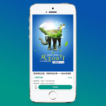 (獨立手機版)單頁落地頁推廣網站模板 - 帶復制微信號