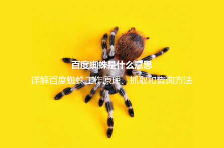 百度蜘蛛是什么意思?詳解百度蜘蛛工作原理、抓取和查詢方法 百度蜘蛛是什么意思?詳解百度蜘蛛工作原理、抓取和查詢方法